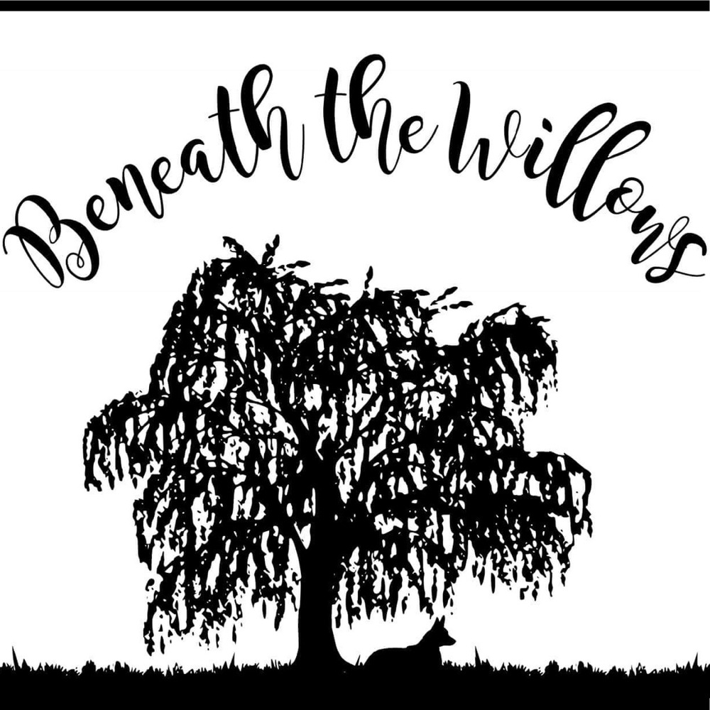 Meet your Posher, Kristi